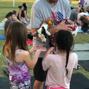 Goat Yoga - Yoga Near Me Goat Yoga - Yoga Near Me
