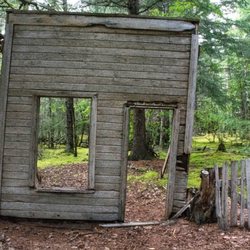 Dyea-Chilkoot Trail Transport - Do a tour of the Dyea Townsite with a Ranger or self guide!