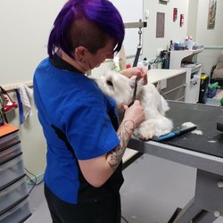 All About Grooming - Grooming is not punishment. It is for the love of keeping pets happy healthy feeling and looking their best.