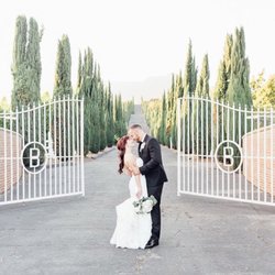 Bella Vista Groves - Iconic gates and cypress lined driveway