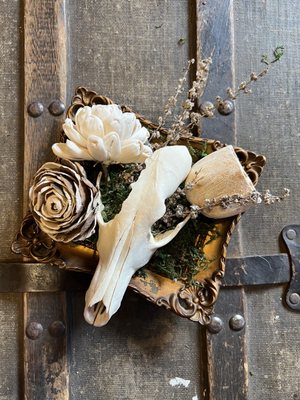 Bugs, Bones & Stones