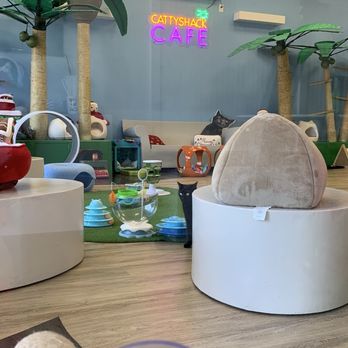 Cattyshack Cat Cafe - Themed Cafes Near Me - Fort Myers, Florida Cattyshack Cat Cafe - Themed Cafes Near Me - Fort Myers, Florida