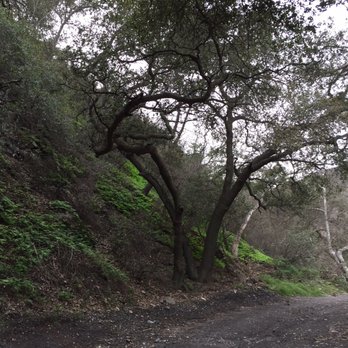Falls Canyon Falls - Trabuco creek road - Hiking Near Me - Trabuco, California