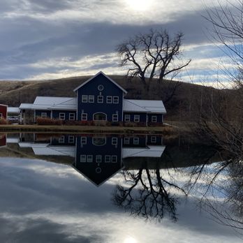 Morning Fresh Dairy - CSA Near Me - Bellvue, Colorado