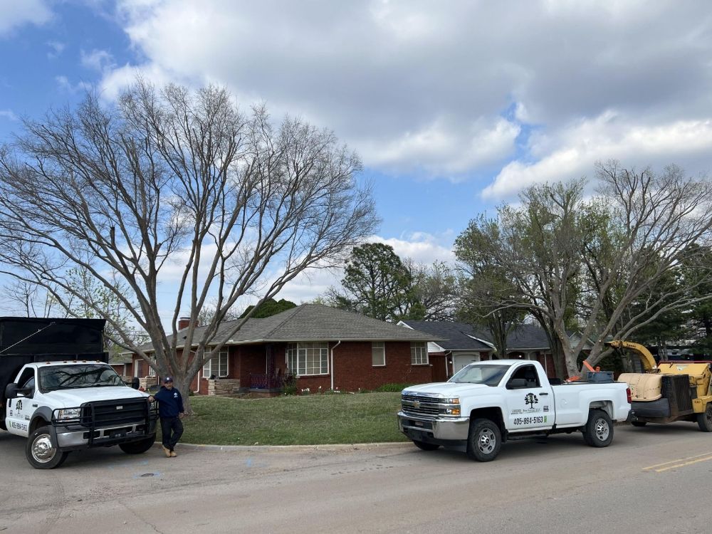 B&A Tree Service - tree service in Bethany, OK