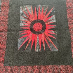 Sew Much Love - Picture does not do this quilt justice. But the quilting that sew much love did on this quilt is outstanding.