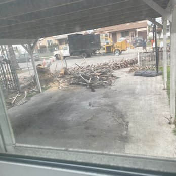 Skyline R Tree Service - Tree Services Near Me Skyline R Tree Service - Tree Services Near Me