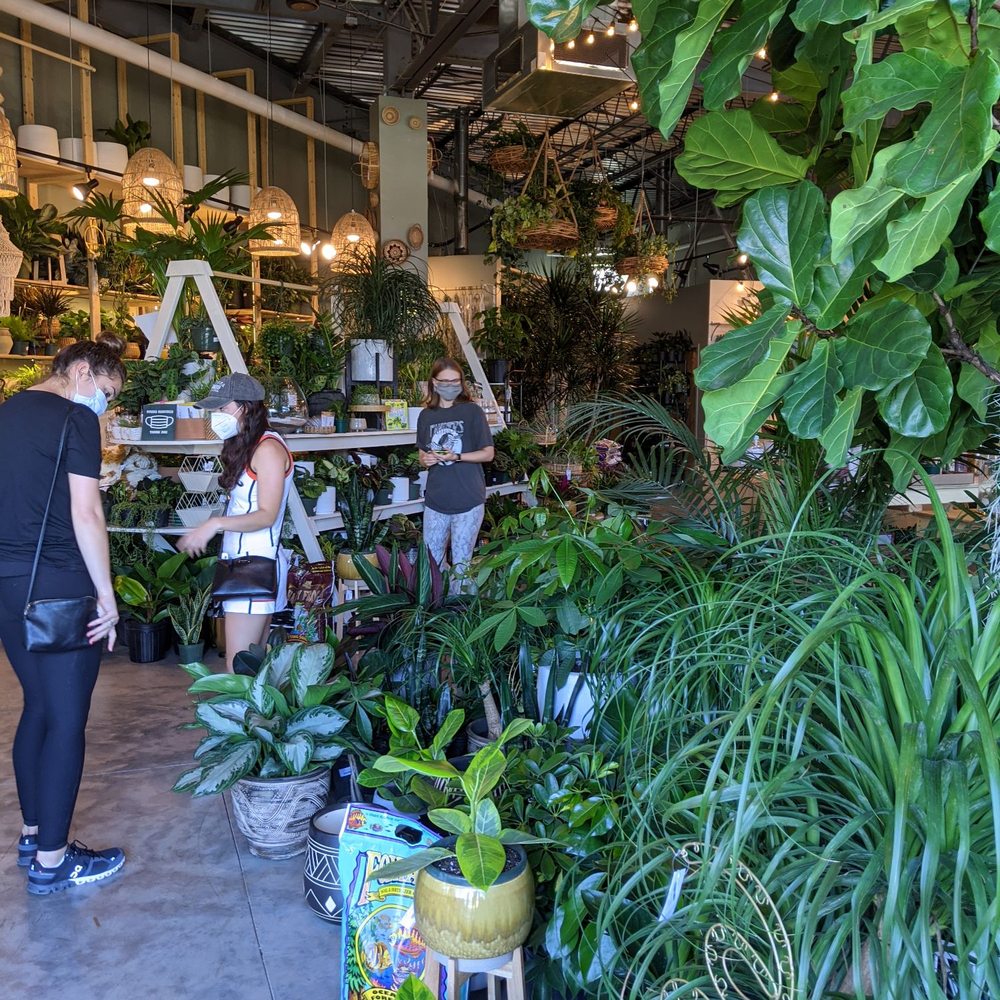 PlantHouse - Entrance is beautiful! - Nurseries & Gardening Near Me - Charlotte, North Carolina