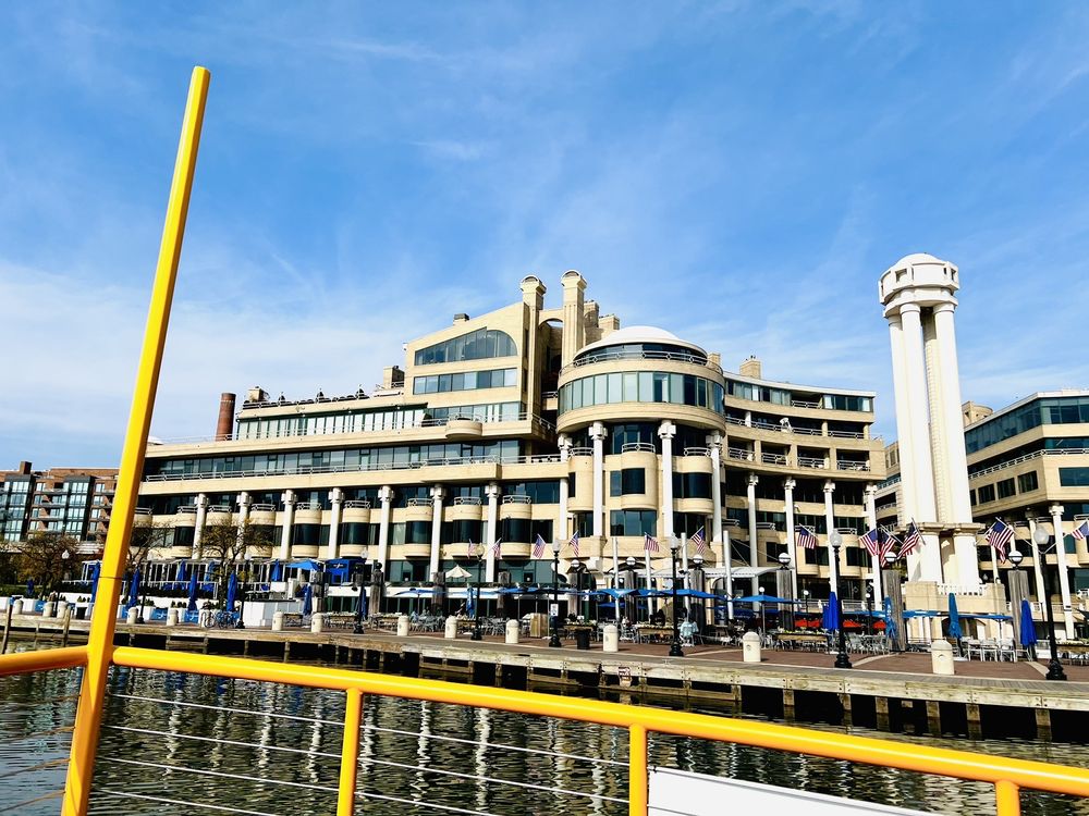 City Cruises Logo
