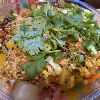 Poke Poke - 3 protein tuna and salmon with everything poke bowl - Poke Near Me - Cocoa Beach, Florida Poke Poke - 3 protein tuna and salmon with everything poke bowl - Poke Near Me - Cocoa Beach, Florida