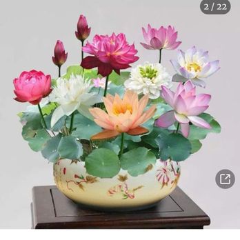 Larry & Sons Plumbing, Heating, Cooling, Drain & Electrical - Flowers - Plumbing Near Me - Frederick, Maryland