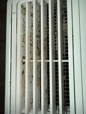 Canterbury Rehabilitation & Healthcare Center