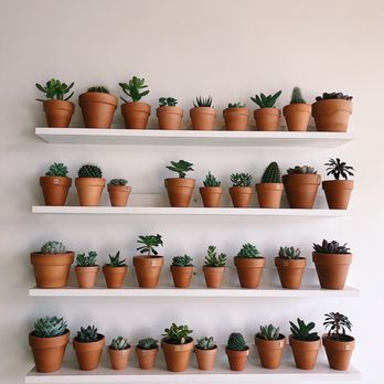SACHI.LA - Cute plant wall - Coffee & Tea Near Me - Los Angeles, California