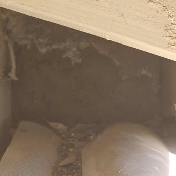 Evolution Pest Control - Pest Control Near Me - Beverly Hills, California Evolution Pest Control - Pest Control Near Me - Beverly Hills, California
