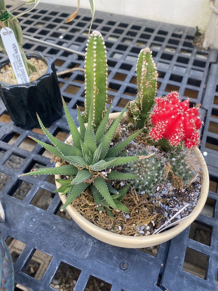 VERN GOERS GREENHOUSE Updated September 2024 22 Photos & 27 Reviews