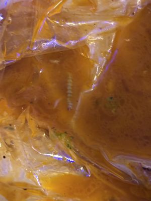 Juicy Crawfish by null