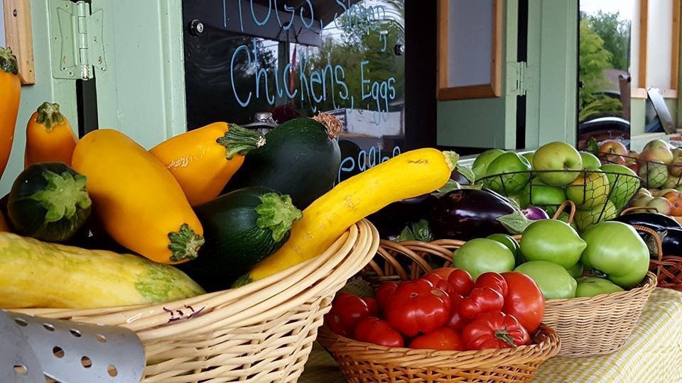 RANCHO MURIETA MARKETPLACE Updated August 2024 14670 Cantova Way