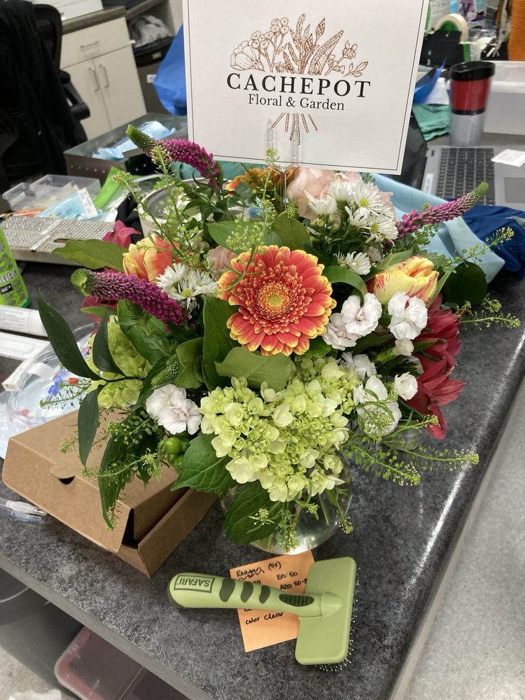 CACHEPOT Floral & Garden