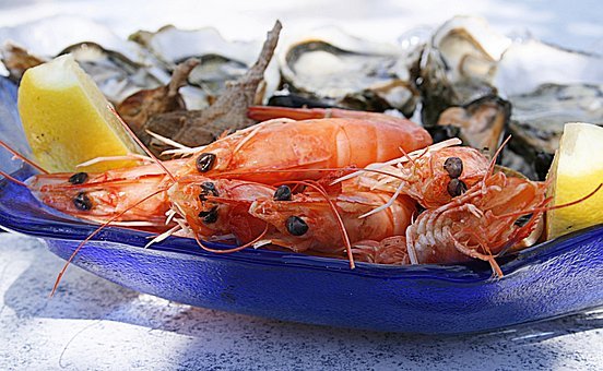 Multi Aquaculture Systems by null