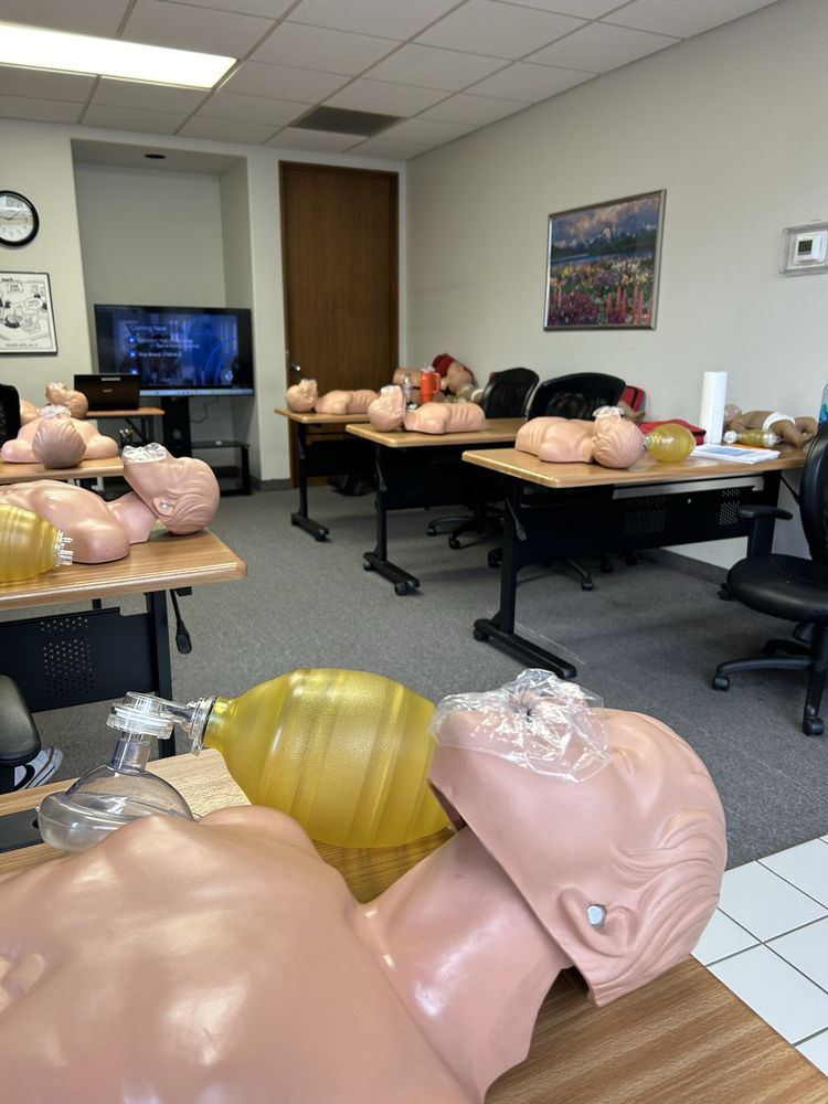 Lifesaver Education - safety consultant in South Pasadena, CA