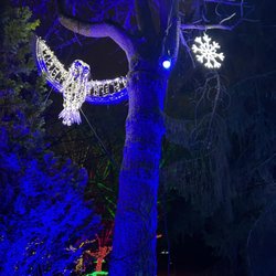 Festival of Lights - Flake & owl
