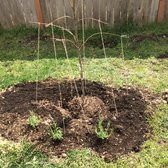 Raintree Nursery 14 Photos 33 Reviews Nurseries Gardening Raintree Nursery 14 Photos 33