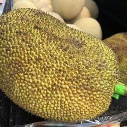 Wheeler Dealer - Jack fruit $19.99