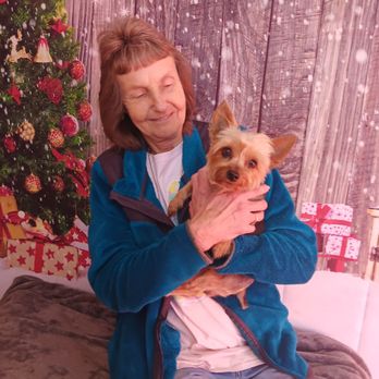 Canine Corner - Pet Groomers Near Me - Joppa, Alabama