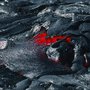 Photo of Hawaii Volcano Tours
