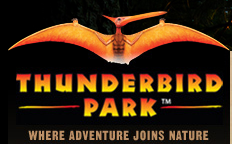 Thunderbird Park by null