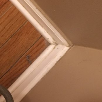 Molly Maid of Ann Arbor and Washtenaw County - Home Cleaning Near Me - Ann Arbor, Michigan