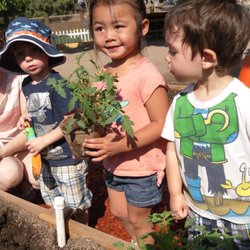 Planting our vegetable garden