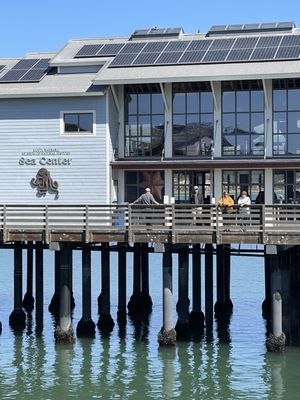 Santa Barbara Museum of Natural History Sea Center by null