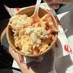 The Lobstore - Lobster stew loaded with lobster