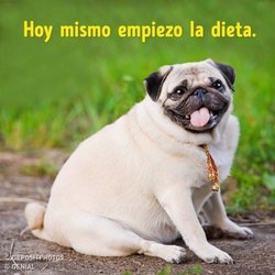 La Mirada Medical Weight Control