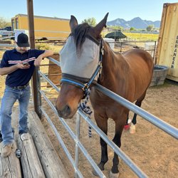 Sherwood Farrier Services - Just finished taking care of Jimmy!!