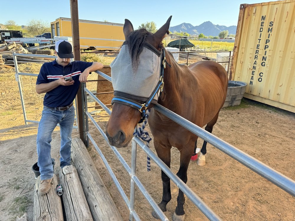 SHERWOOD FARRIER SERVICES - Updated October 2025 - Request Information ...