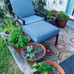 The Patio Farmer