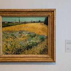 Van Gogh Museum - @endoedibles on Instagram 07/04/25