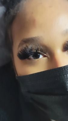 Virtue Lash by null