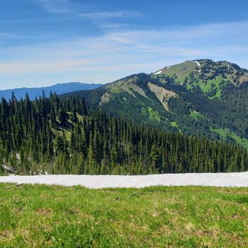 Hurricane Ridge - Stunning view. - Parks Near Me - Port Angeles, Washington Hurricane Ridge - Stunning view. - Parks Near Me - Port Angeles, Washington
