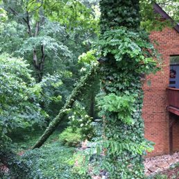 not easy to remove...the land around the house is quite steep and just past the tree to the left is a small water runoff...no room