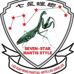 Wrights Seven Star Mantis Kung Fu