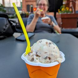 Scoop Local - Trash Panda - lifewithhanny