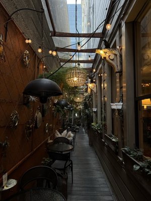 The Fly Trap by null