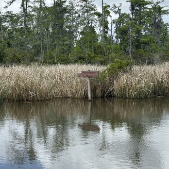 Jean Lafitte Swamp Tour - Boat Tours Near Me - Marrero, Louisiana