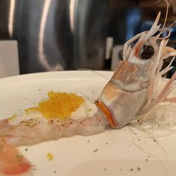 Umami Omakase - A cute langoustine
