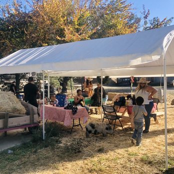 Dirty Bird Ranch - Petting Zoos Near Me