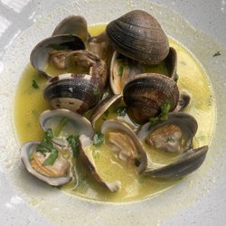 The Urchin - Clams Portuguese