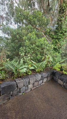 Cabo Girão miradouro by null